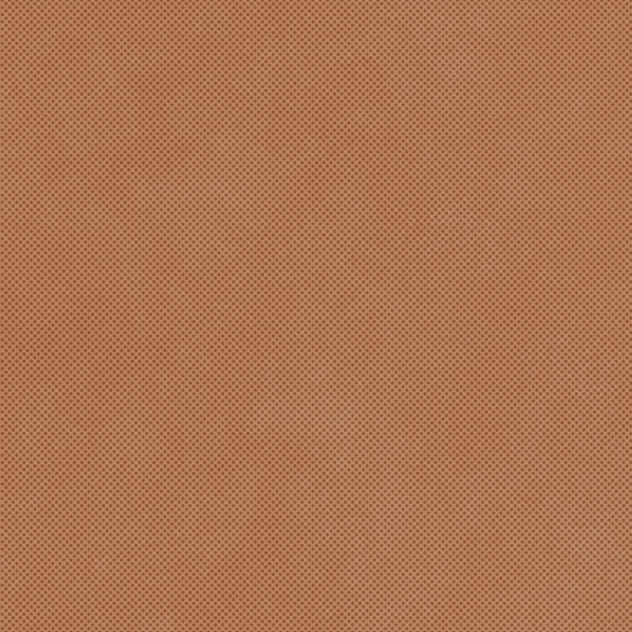 RETINA - immagine 7