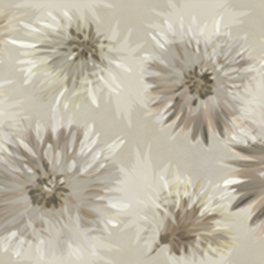 RETINA - immagine 10