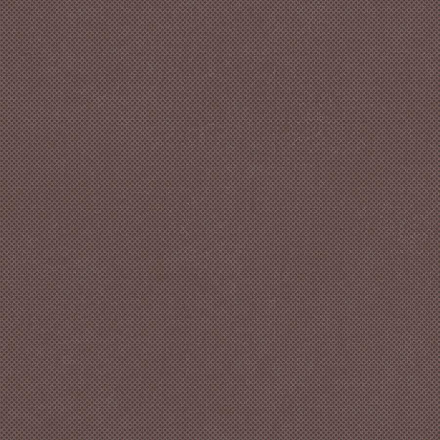RETINA - immagine 14