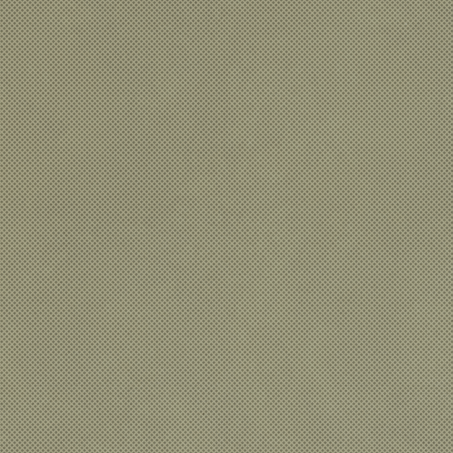 RETINA - immagine 23