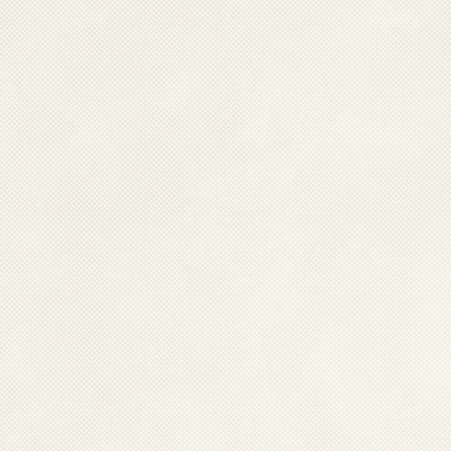 RETINA - immagine 29