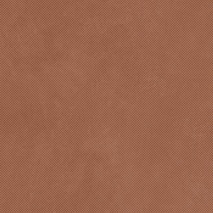 RETINA - immagine 32