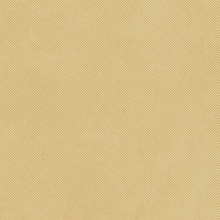 RETINA - immagine 34