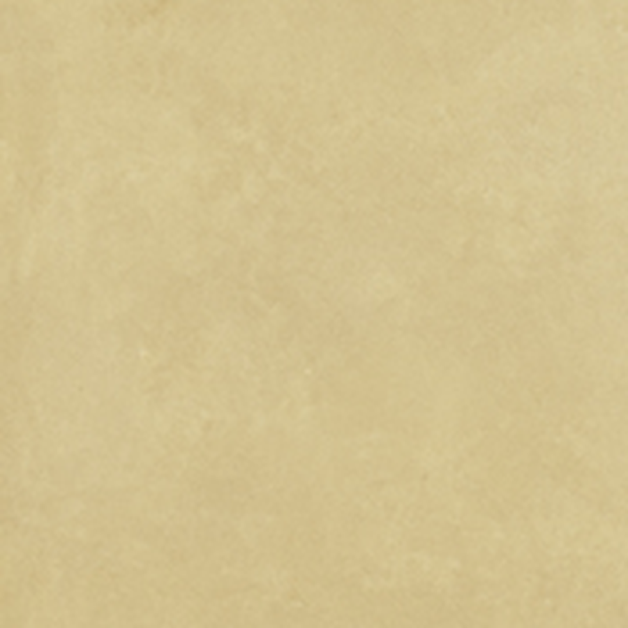 RETINA - immagine 33