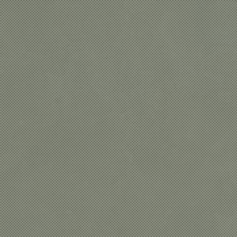 RETINA - immagine 41