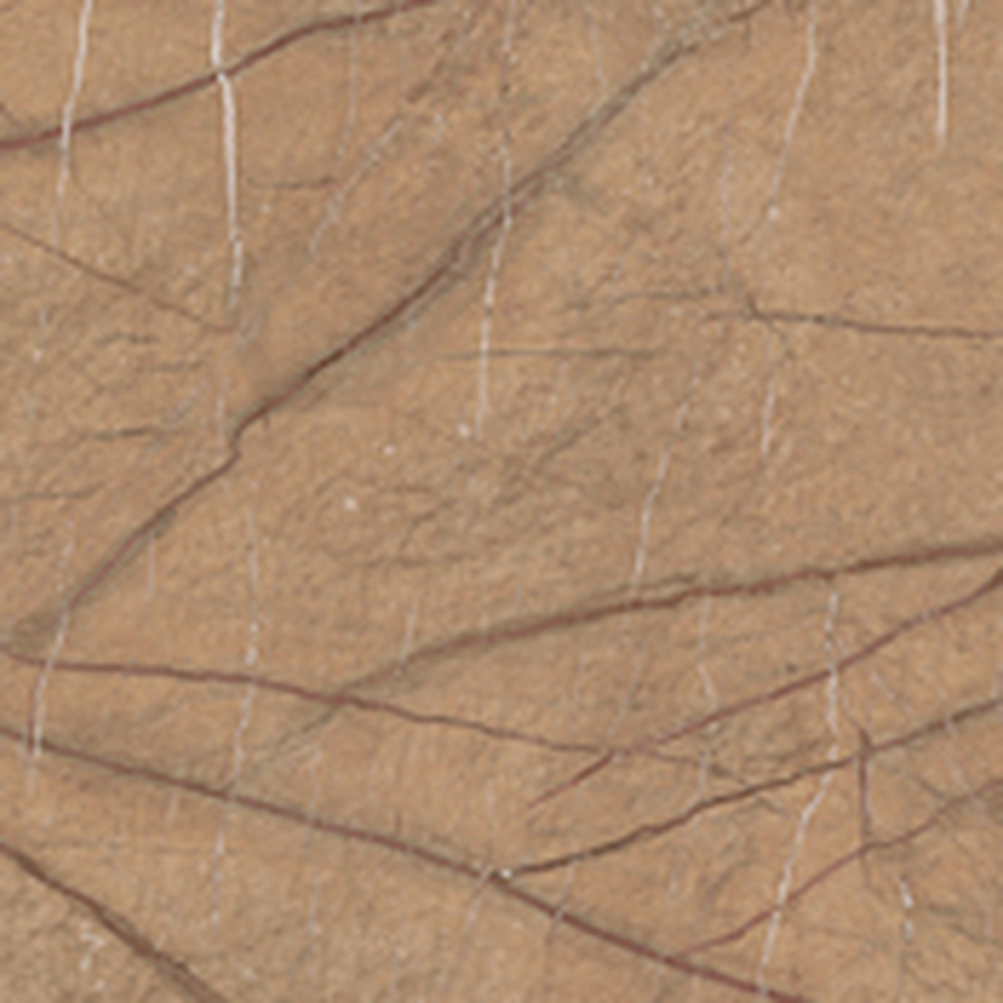 THE ROCK - immagine 12