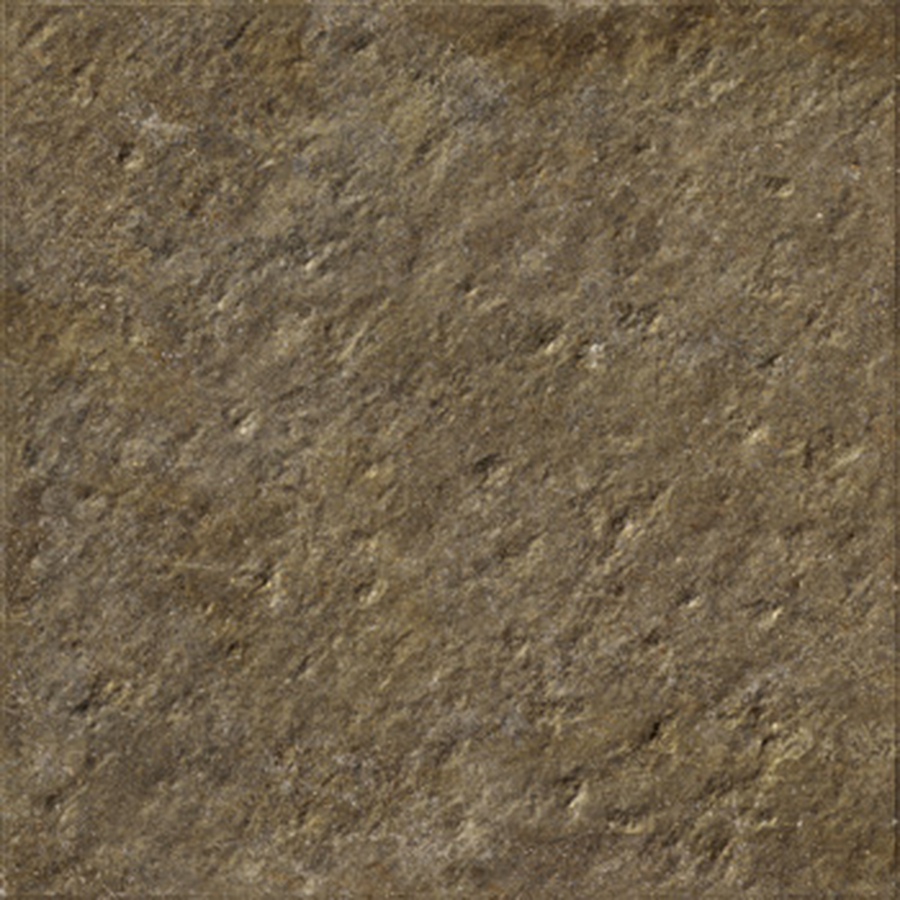 TRAIL - immagine 6